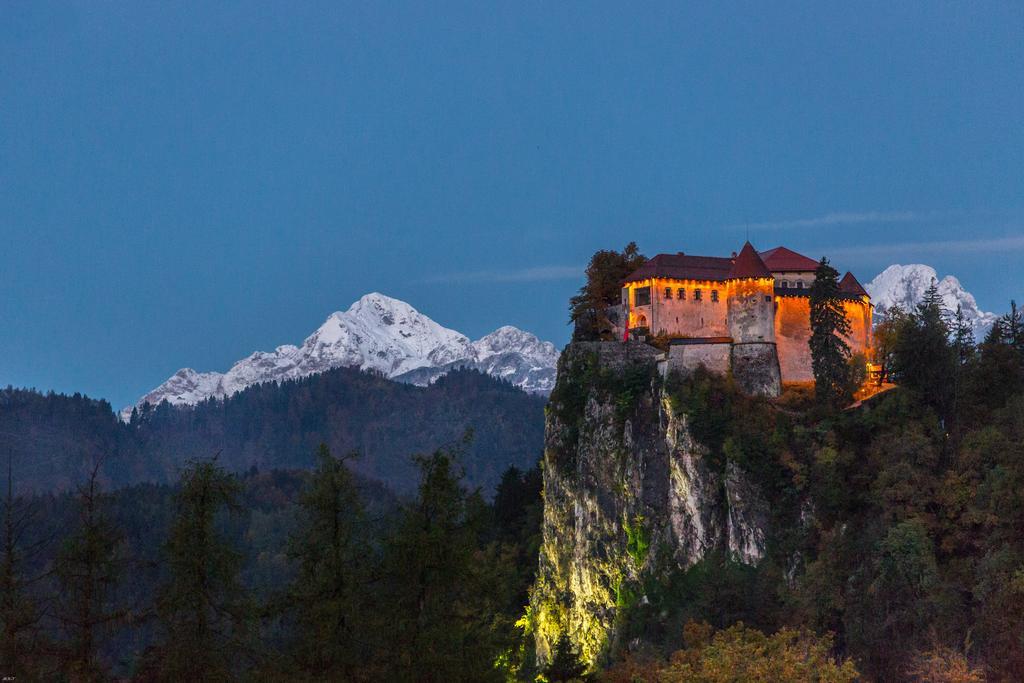 Brunarica Bled Zatrnik Pokljuka Экстерьер фото