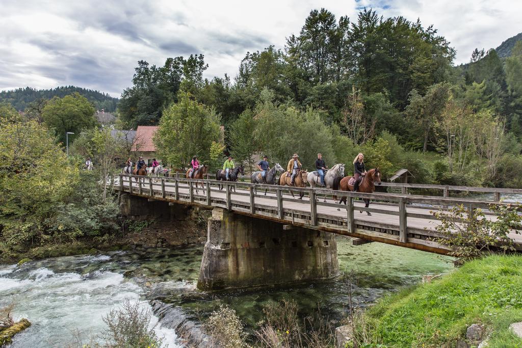 Brunarica Bled Zatrnik Pokljuka Экстерьер фото