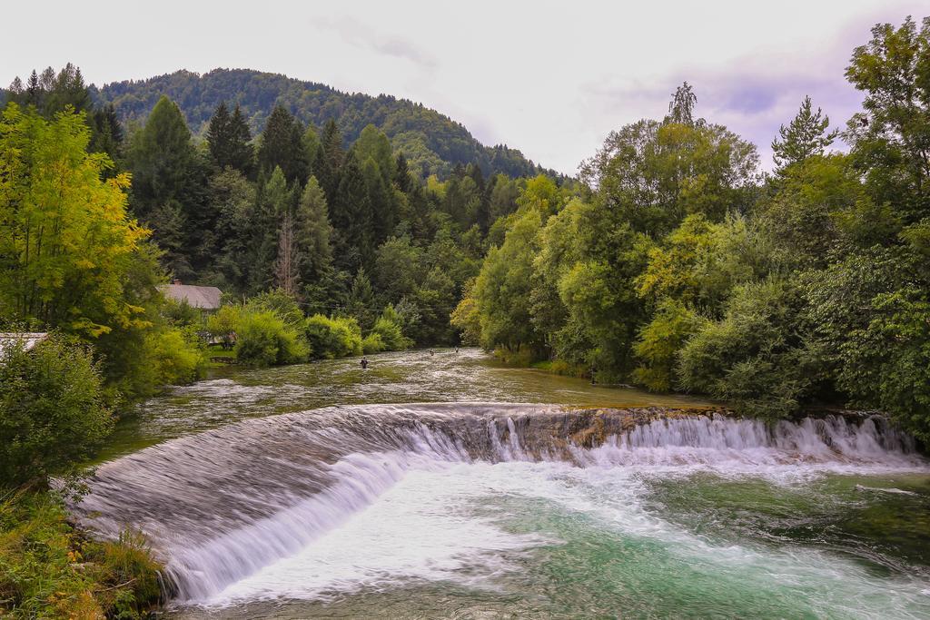 Brunarica Bled Zatrnik Pokljuka Экстерьер фото